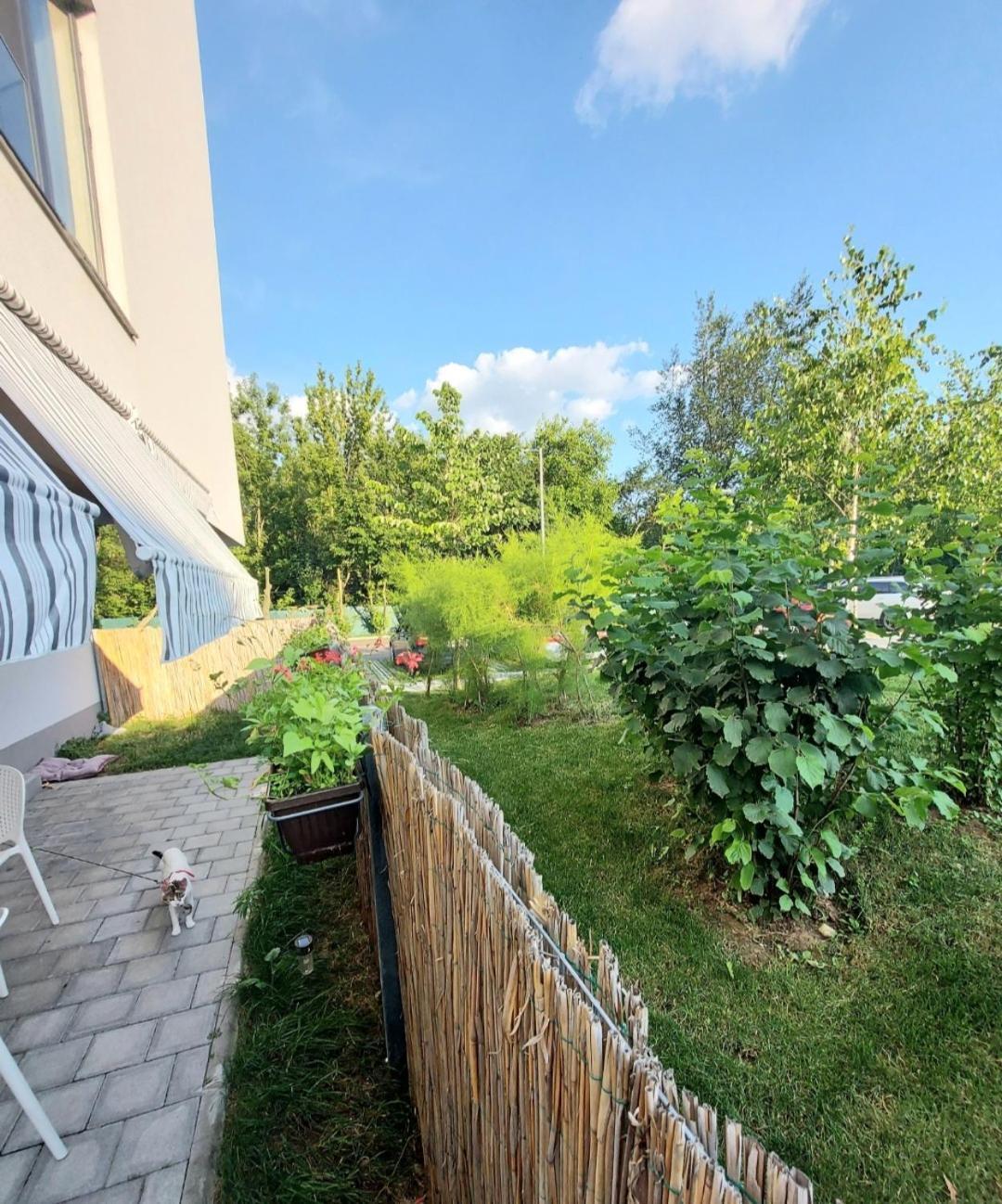 Atria Urban Resort 부쿠레슈티 외부 사진